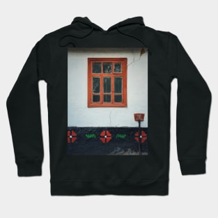 Traditional moldavian house details Hoodie